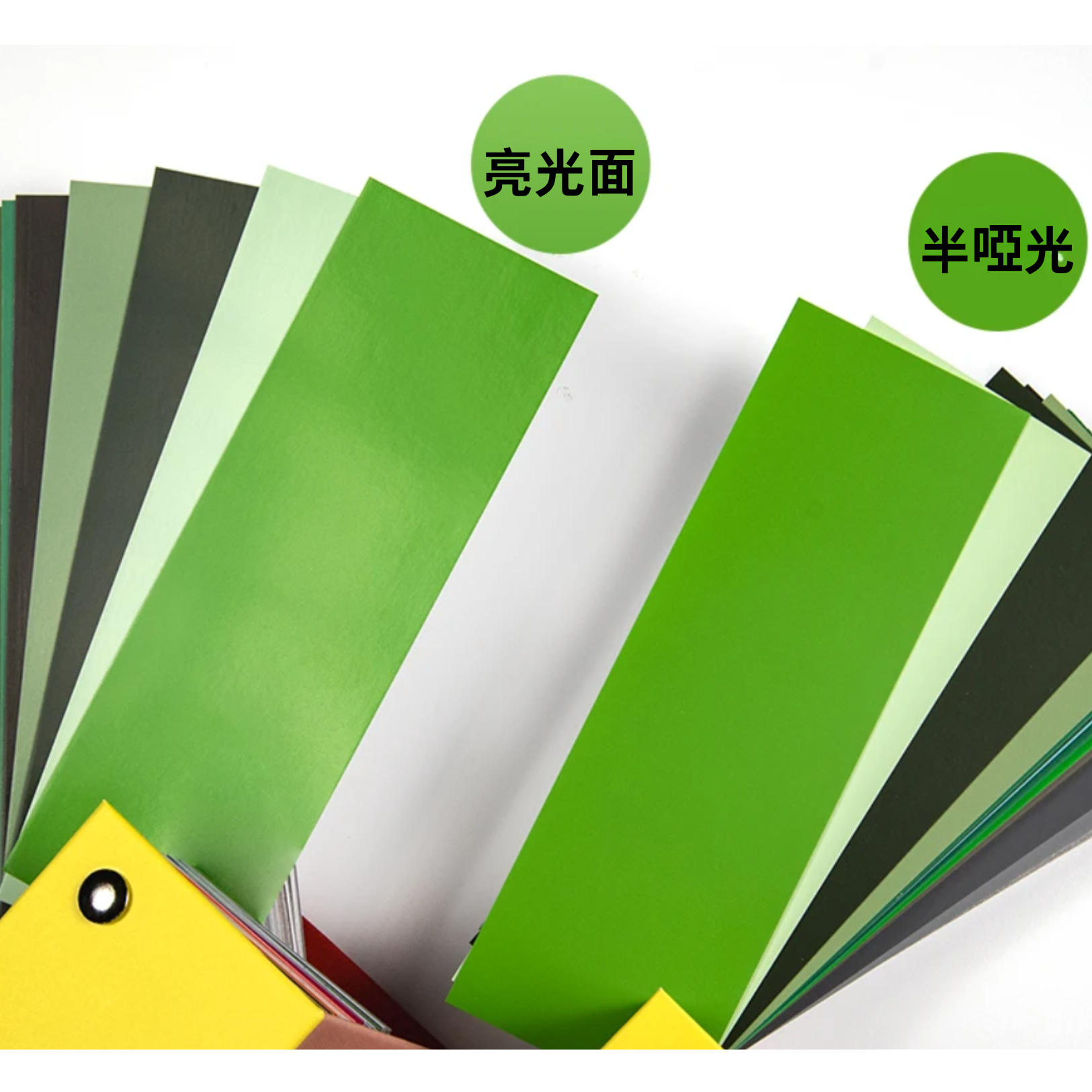 勞爾RAL-K5 半啞光-限量版100周年紀念封面,2025新品上市,獨特封面設計,含216種經典色彩,型號:RAL-K5m-100(半啞光):圖片 5