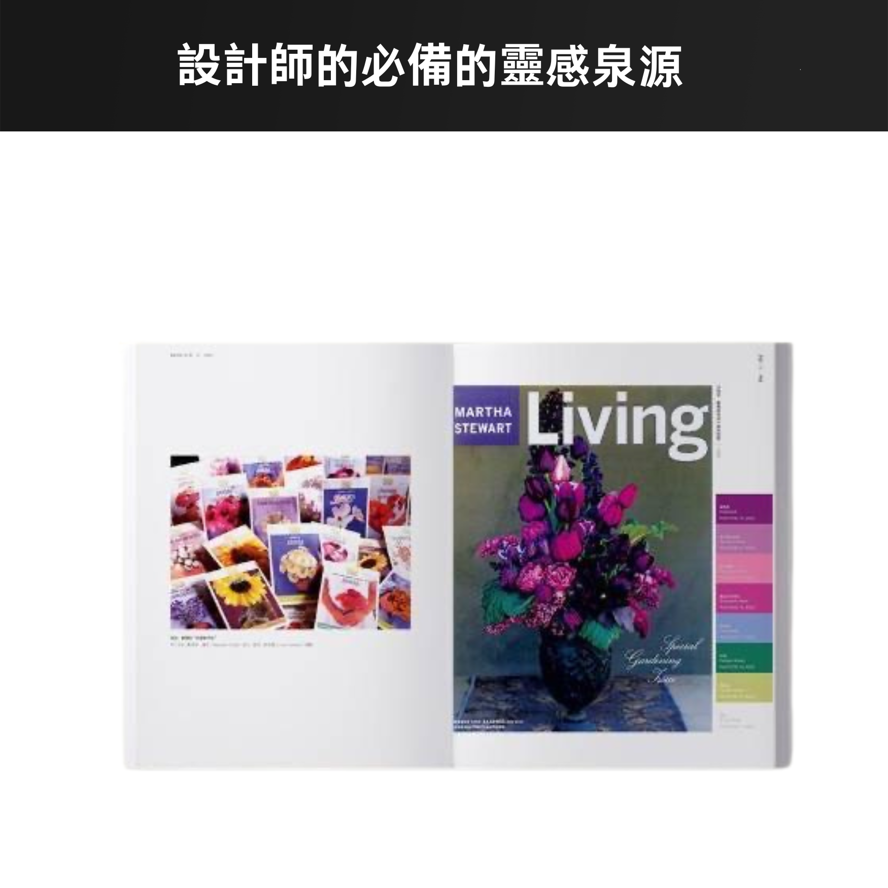 PANTONE(潘通)色彩中的100年(1900~2000年),PANTONE經典配色圖鑑:圖片 4