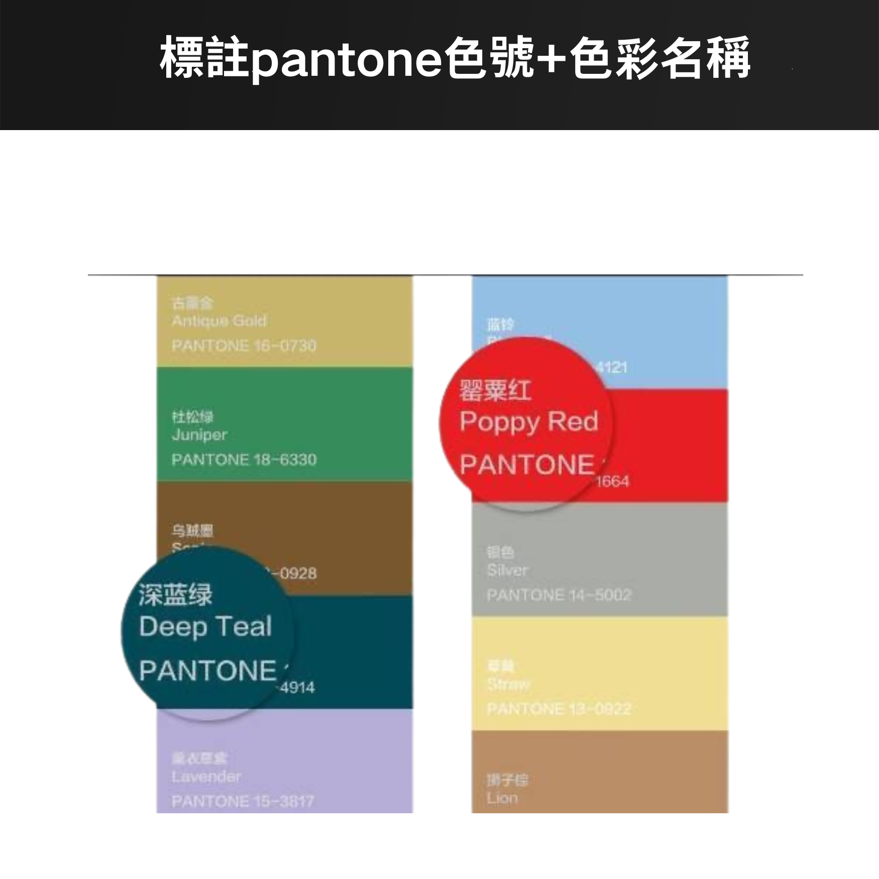 PANTONE(潘通)色彩中的100年(1900~2000年),PANTONE經典配色圖鑑:圖片 5